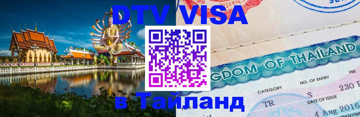 Сколько стоит DTV виза — актуальные цены, оформление даже без документов - Анкара 